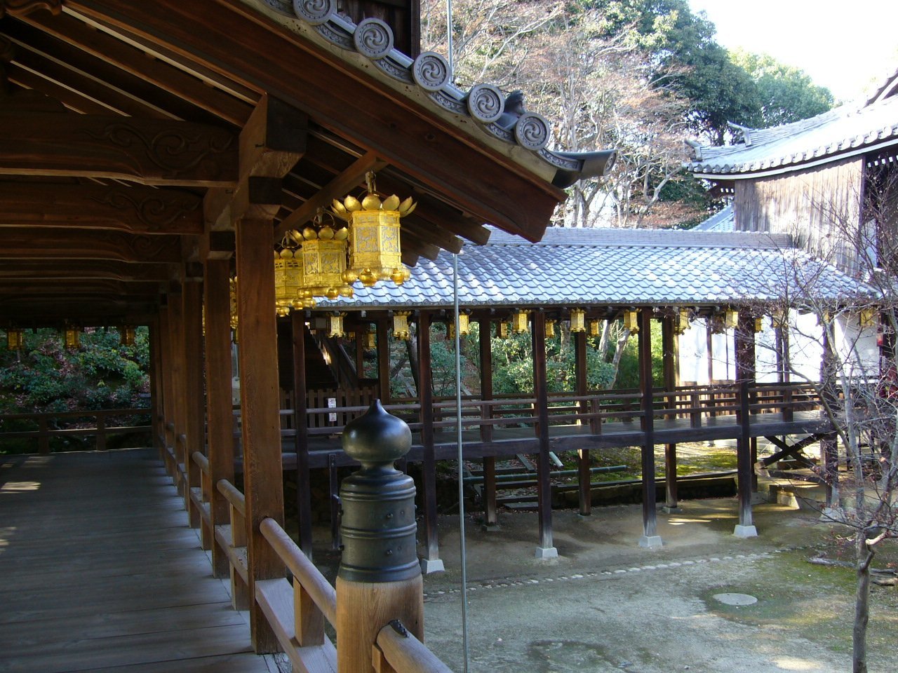 報国山 光明寺（その１）_c0112559_08235691.jpg