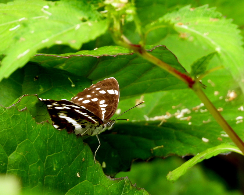 c0305565_17432162.jpg