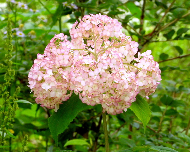 c0305565_17463767.jpg
