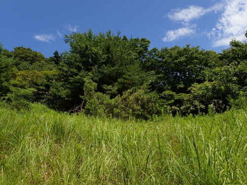 f0348480_15125121.jpg
