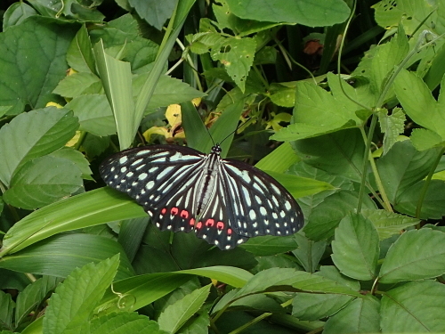 f0348480_15213371.jpg