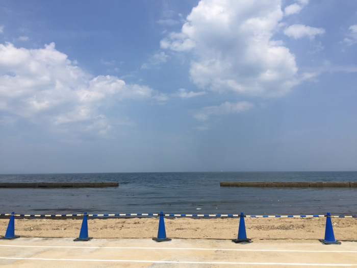 b0175688_16440497.jpg