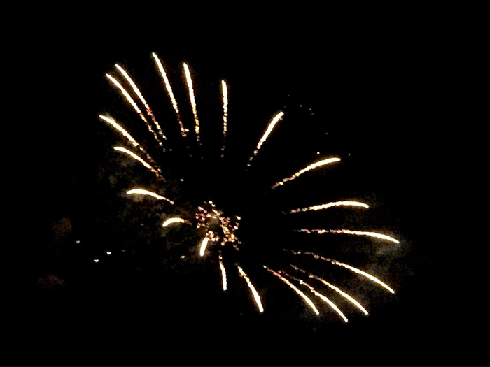 b0175688_21392621.jpg