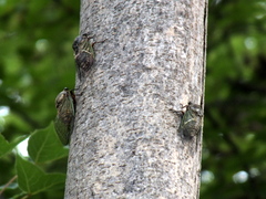 b0192588_8284840.jpg