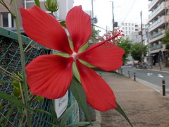 b0192588_829276.jpg