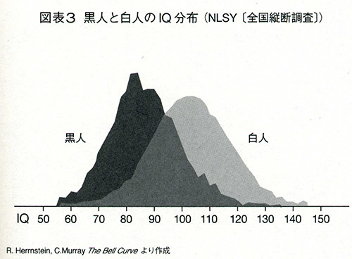 The Bell Curve: Intelligence and Class Structure in American Life_c0001491_02564566.jpg