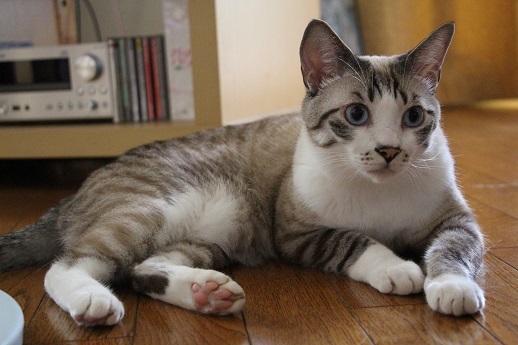 見た?_a0333195_22014045.jpg