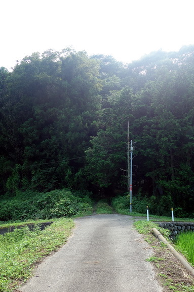f0126896_22452658.jpg
