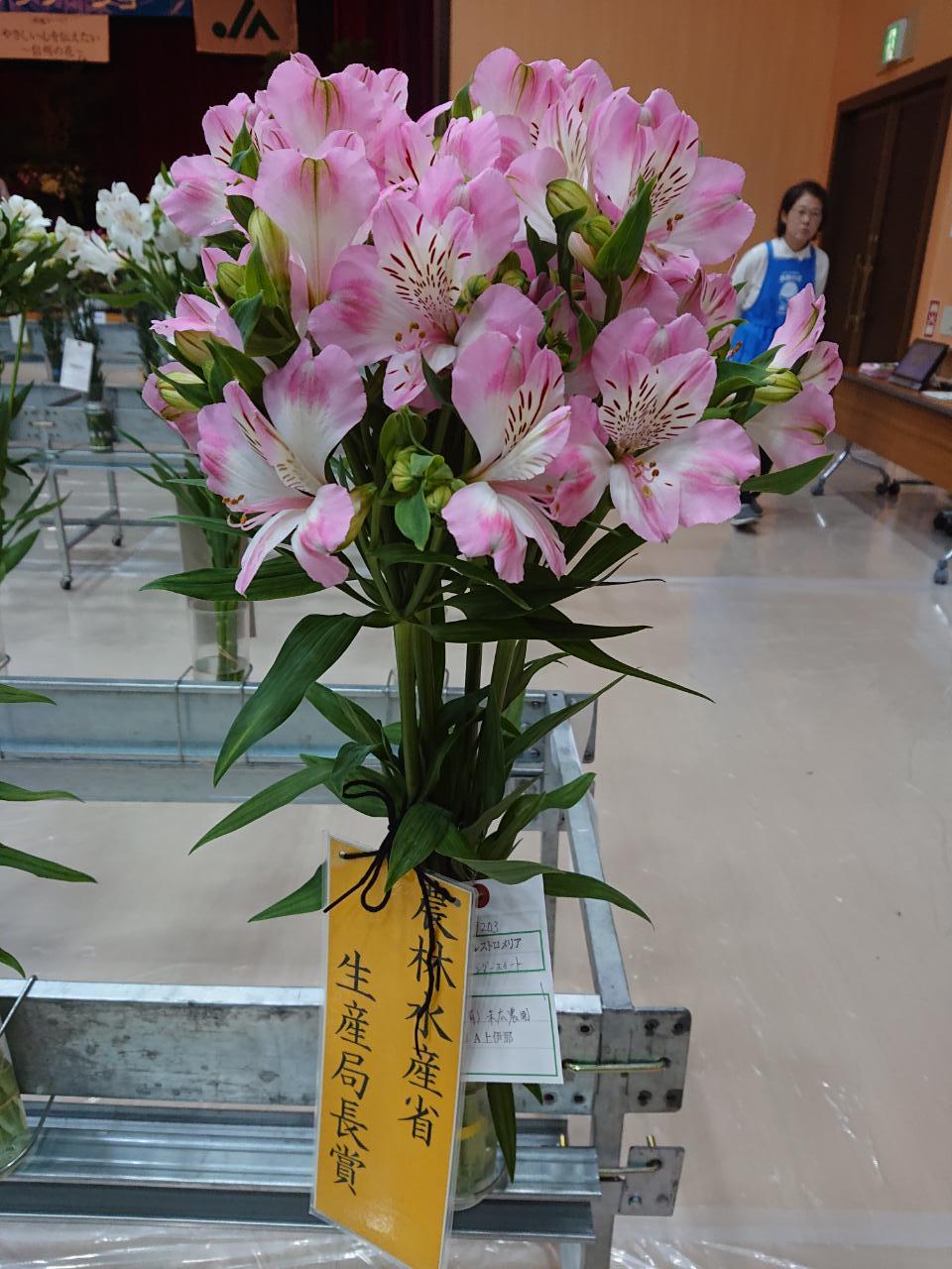 信州フラワーショーサマーセレクション表彰式_d0062298_12512224.jpg