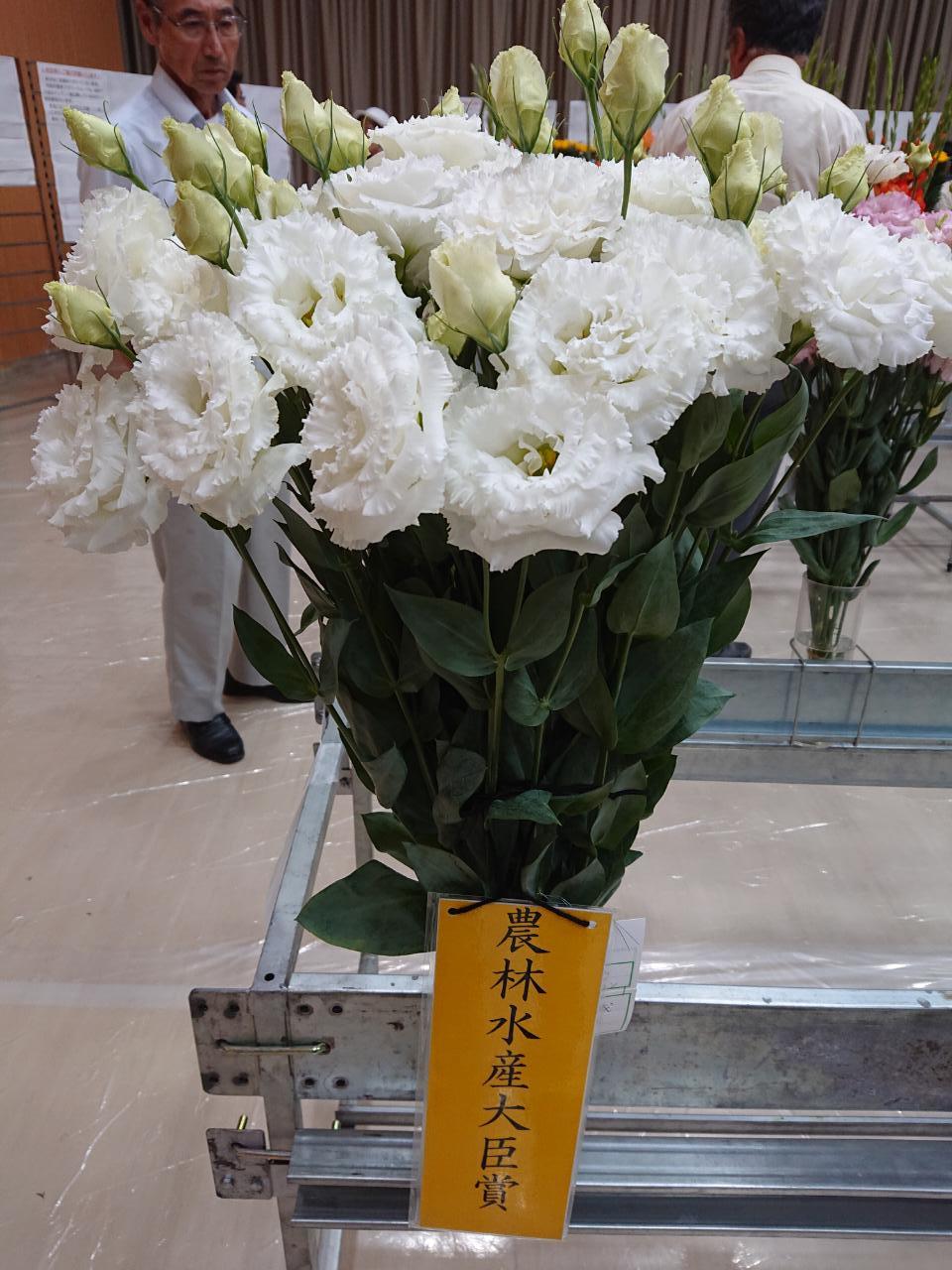 信州フラワーショーサマーセレクション表彰式_d0062298_12512269.jpg