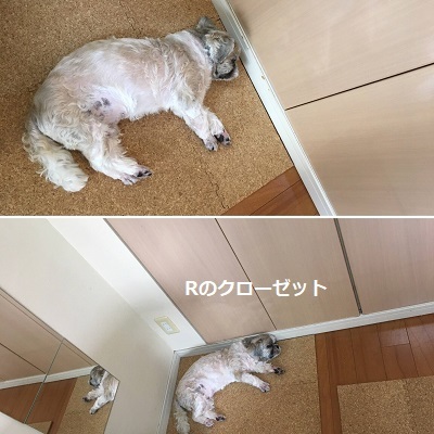 男の子のパンツ2本完成~♪_f0372998_22021466.jpg