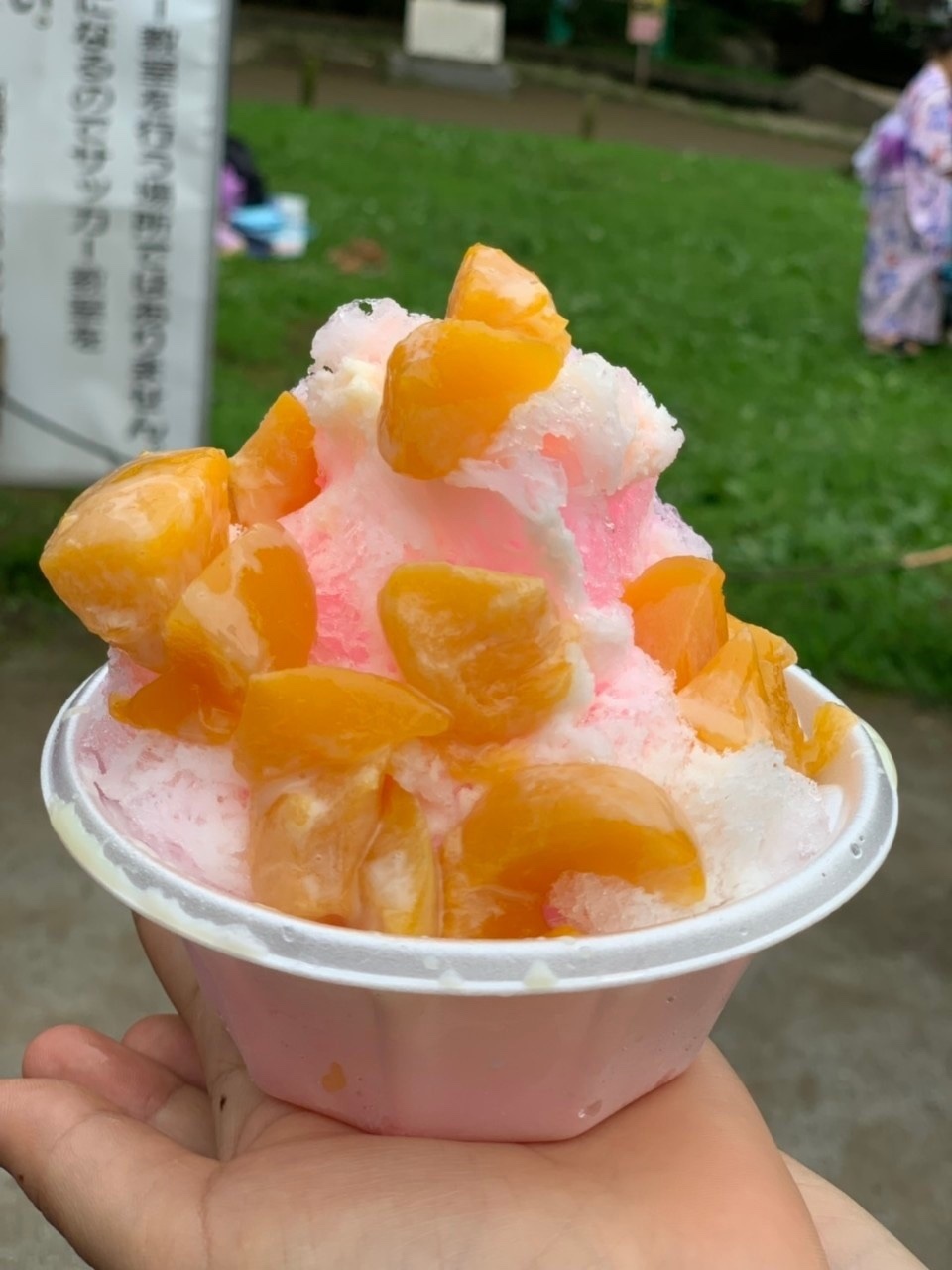a0080406_13530638.jpeg