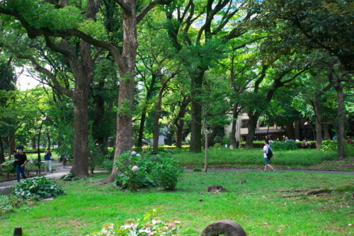 a0263109_14091270.jpg