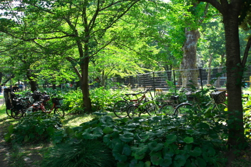 a0263109_14091317.jpg