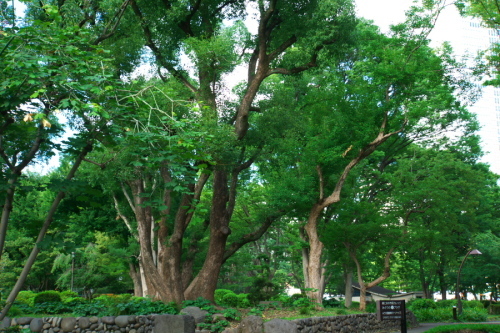 a0263109_14094440.jpg