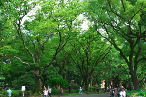 a0263109_14094663.jpg