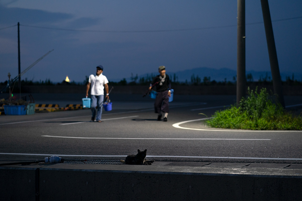 夏の宵　in the twilight time #SONYα9#FUJIGFX50s_c0065410_22054681.jpg