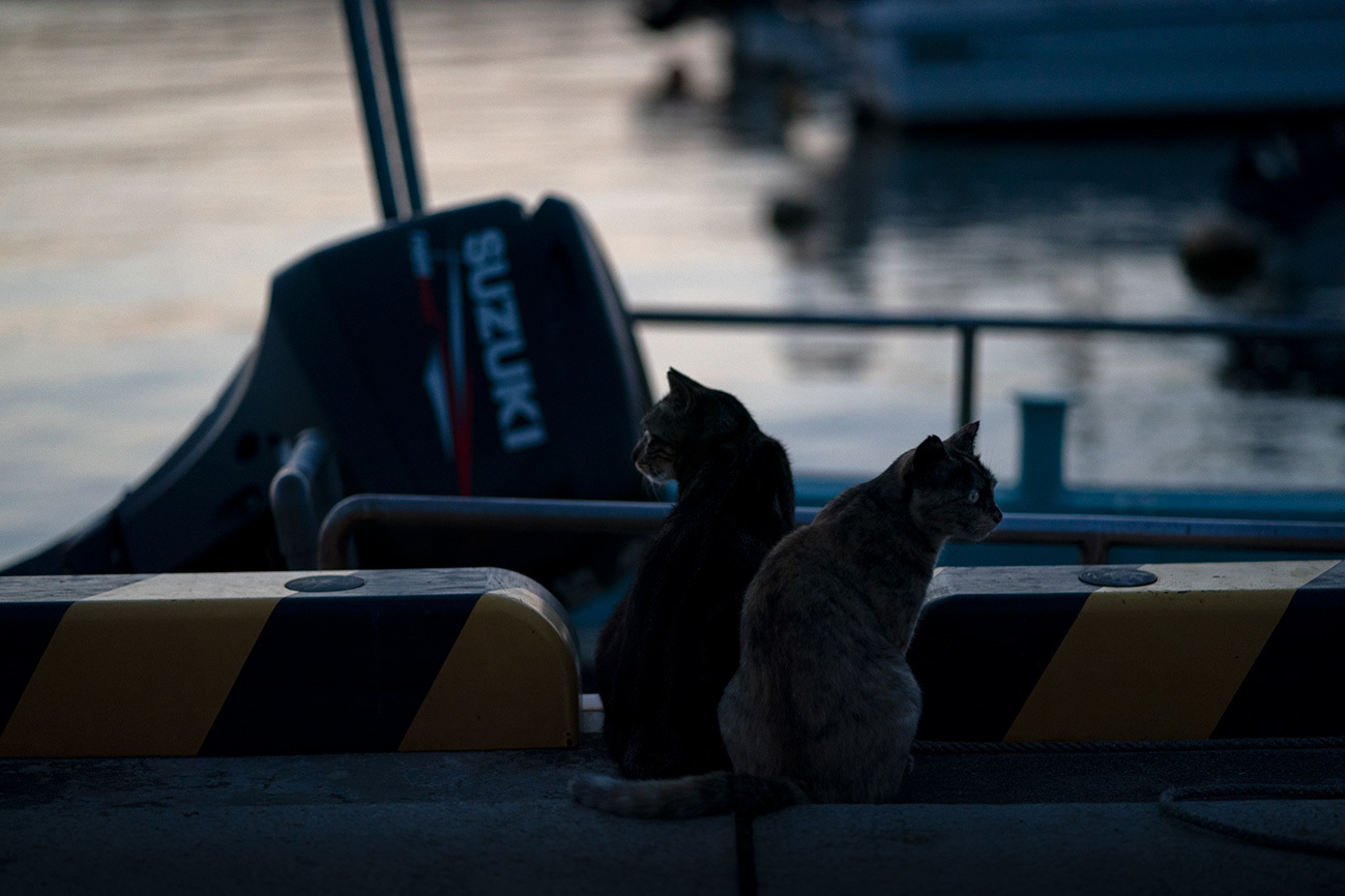 夏の宵　in the twilight time #SONYα9#FUJIGFX50s_c0065410_22075423.jpg