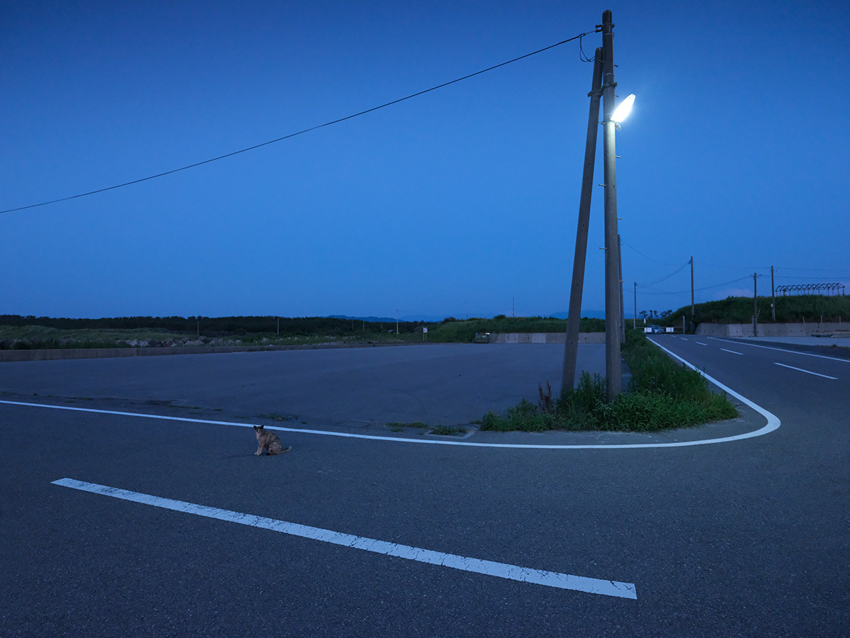 夏の宵　in the twilight time #SONYα9#FUJIGFX50s_c0065410_22081754.jpg