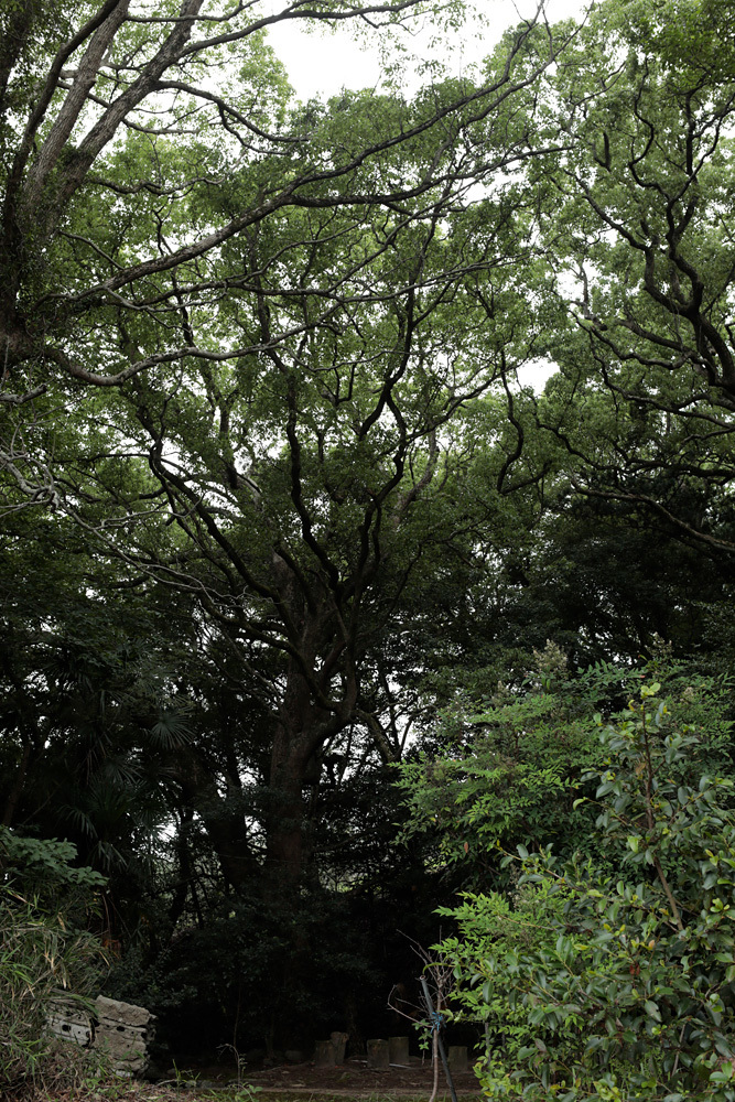 d0011713_14455029.jpg