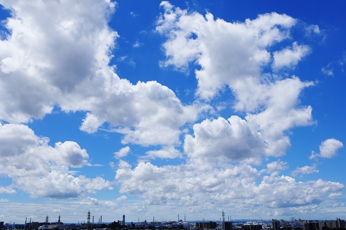 夏の青空と並雲 積雲 日々の風景 夏の青空と並雲 積雲 日々の風景