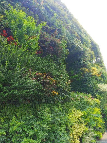 a0098418_09491623.jpg