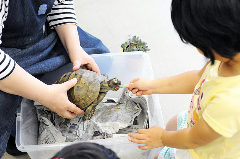 ただいま全クラス生徒募集中!_b0212226_22461200.jpg