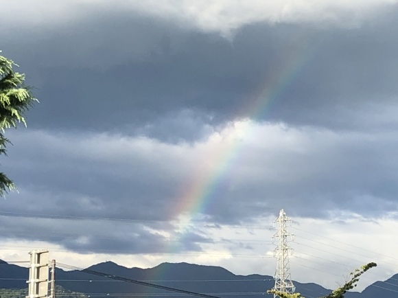 b0164428_21490915.jpeg