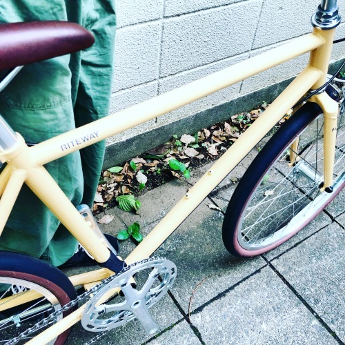 2020 RITEWAY 『 STYLES 24 』スタイルス 24インチ グレイシア ライトウェイ シェファード パスチャー シェファードシティ クロスバイク 自転車女子 おしゃれ自転車_b0212032_18040914.jpeg