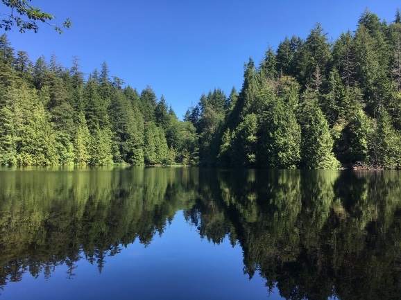 2019年 ハイキング -2- Fragrance Lake ワシントン州_e0032933_06593849.jpeg