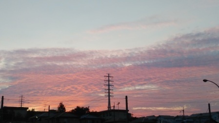 f0142733_21205824.jpg