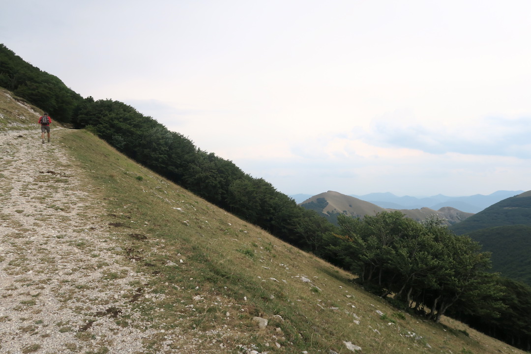f0234936_7285823.jpg