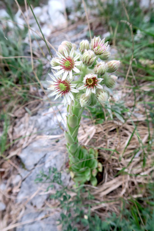 f0234936_7452717.jpg