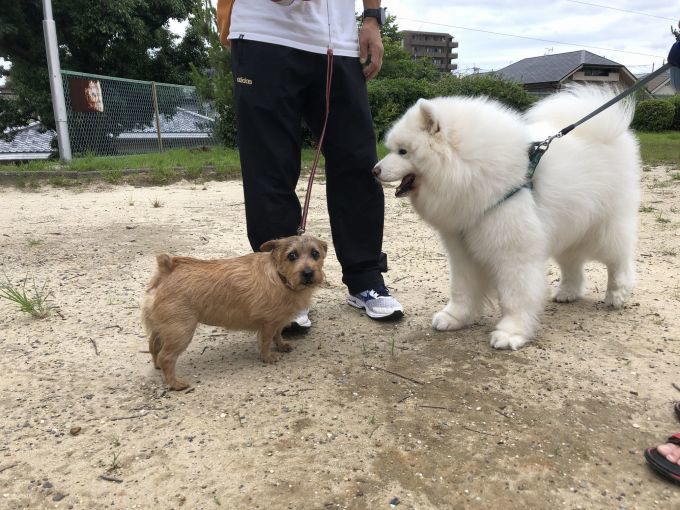 2019年7月中旬 インスタ写真集_f0128542_14514953.jpg