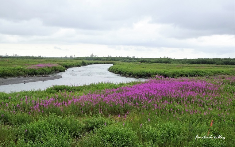 d0356844_07521751.jpg