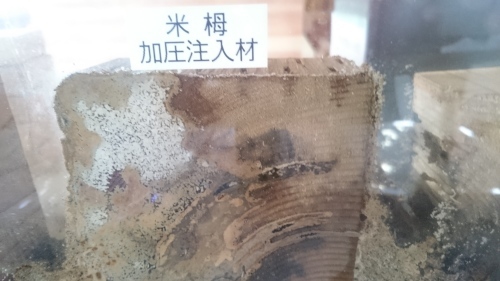 a0181151_19083605.jpg