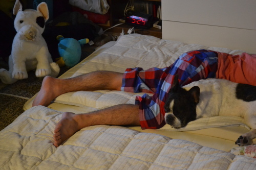 老犬介護の魔法の言葉♪_b0307951_23124498.jpg