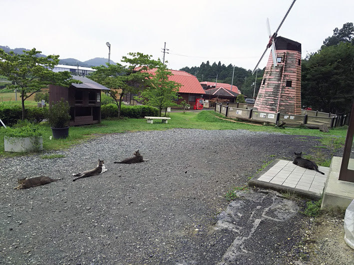b0214652_16262304.jpg