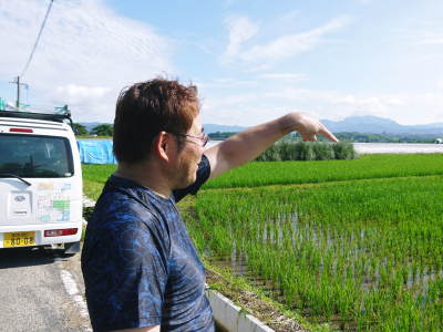 熊本県菊池市七城町『砂田のこだわりれんげ米』　父から子へこだわりの無農薬栽培です。成長の様子2019_a0254656_17073425.jpg