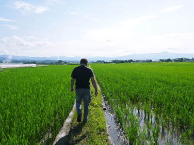 熊本県菊池市七城町『砂田のこだわりれんげ米』 父から子へこだわりの無農薬栽培です。成長の様子2019_a0254656_17172433.jpg