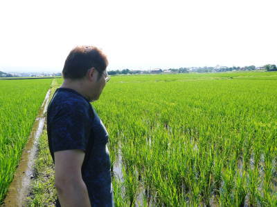 熊本県菊池市七城町『砂田のこだわりれんげ米』　父から子へこだわりの無農薬栽培です。成長の様子2019_a0254656_17182858.jpg