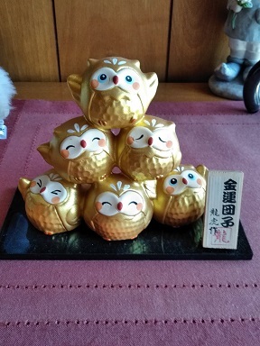 嬉しい月曜日_c0362656_21502895.jpg