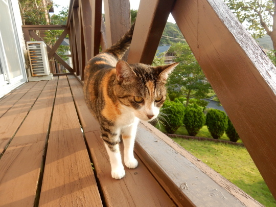 ’19,7,30(火)夏は水の近くが恋しい!_f0060461_19165860.jpg