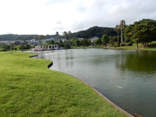 ’19,7,30(火)夏は水の近くが恋しい!_f0060461_19264954.jpg