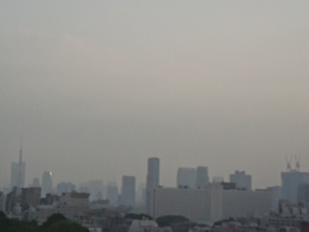 c0100865_06274679.jpg