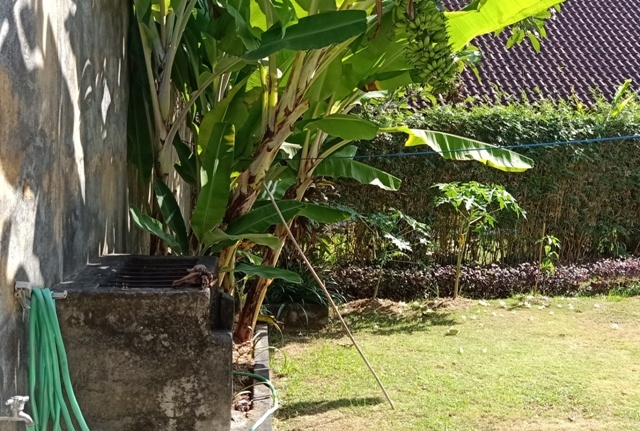 d0083068_11100701.jpg