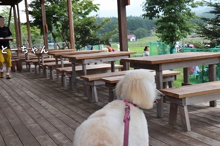 ②信州白樺高原 長門牧場へ。_b0111376_17043978.jpg