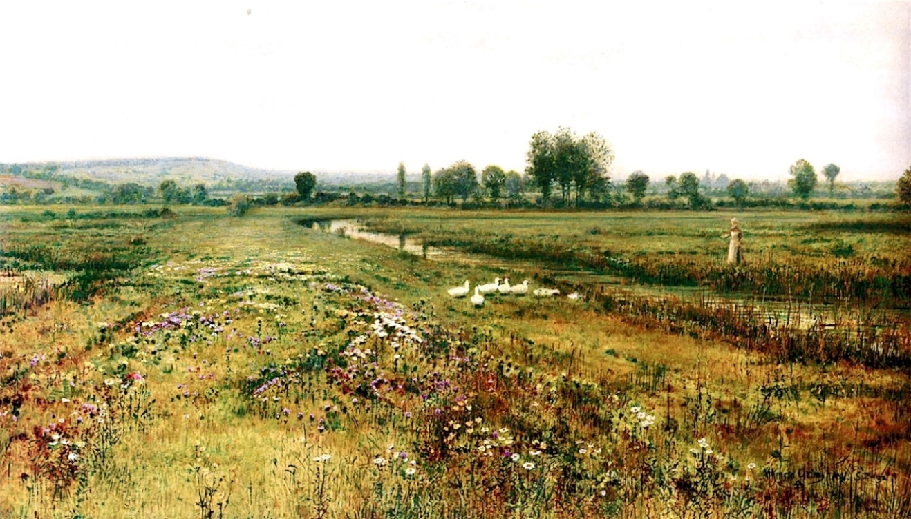 d0187477_06361139.jpg