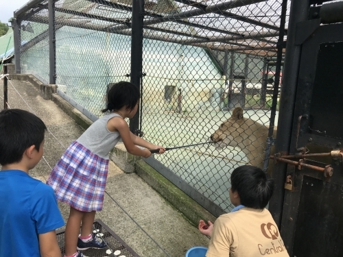 香川旅行_b0139489_22401889.jpg