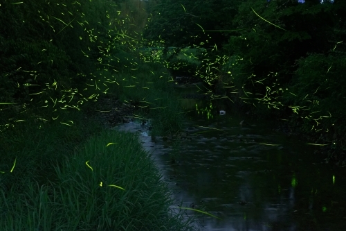 e0366896_20501808.jpg